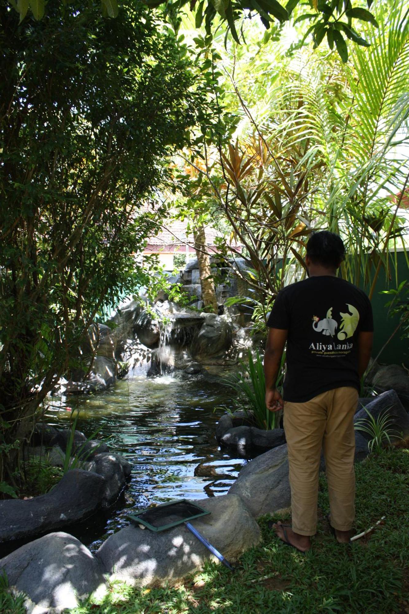 Aliya Lanka Otel Beruwala Dış mekan fotoğraf